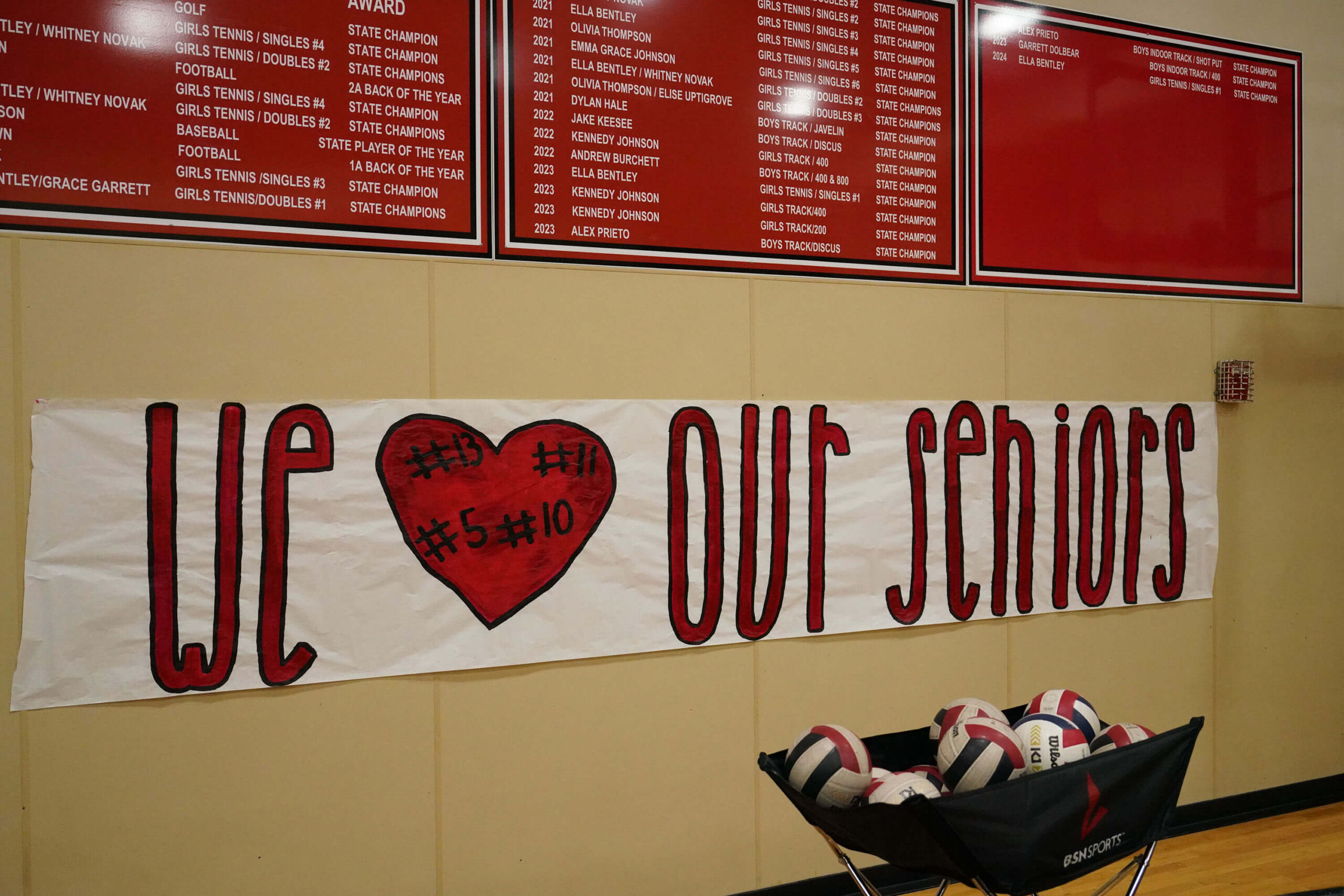 Volleyball Senior Night Banner