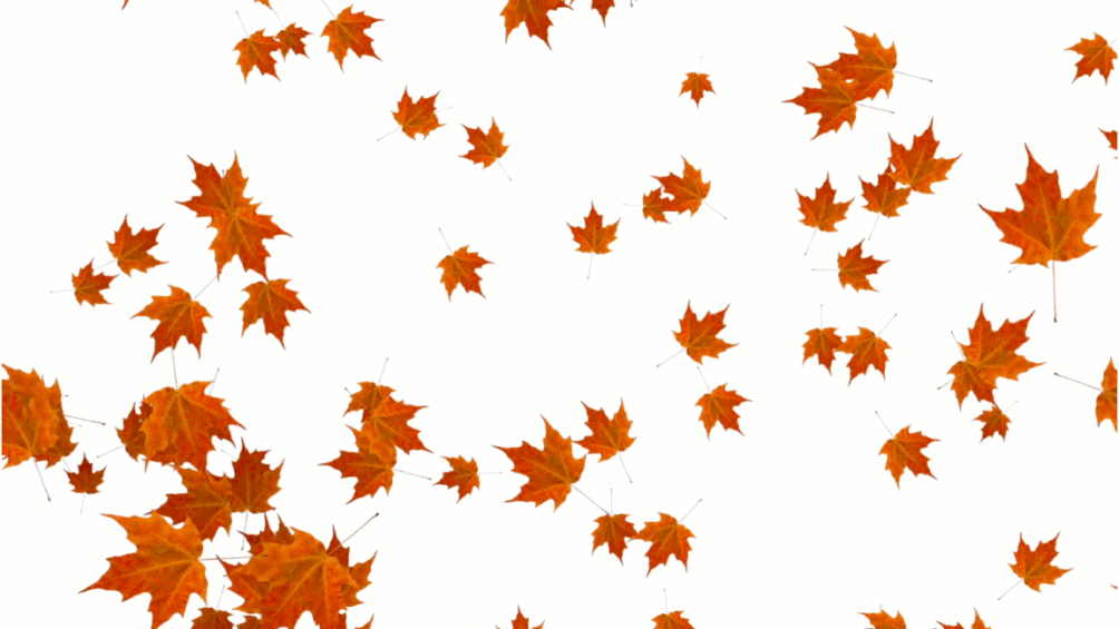 Falling leaves gif with SL Logo